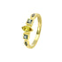 Gracie Ring