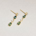 Koa Earrings