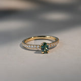 Renee Ring