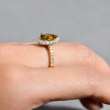 Grand Halo Ring