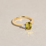 Endota Ring