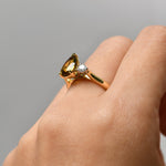 Endota Ring