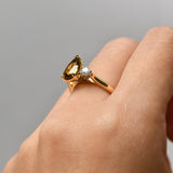 Endota Ring
