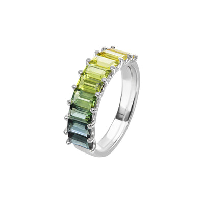 Lenny Ring