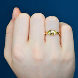 Kyra Ring