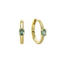 Erina Oval Earrings