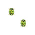Melba Oval Earrings