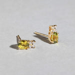 Holly Earrings