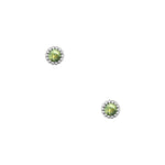 Amee Earrings
