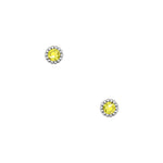Amee Earrings