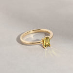 Maira Ring