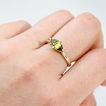 Isla Ring