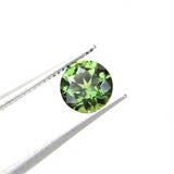 Australian Sapphire Round 1 Green