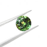 Australian Sapphire Round 1 Green
